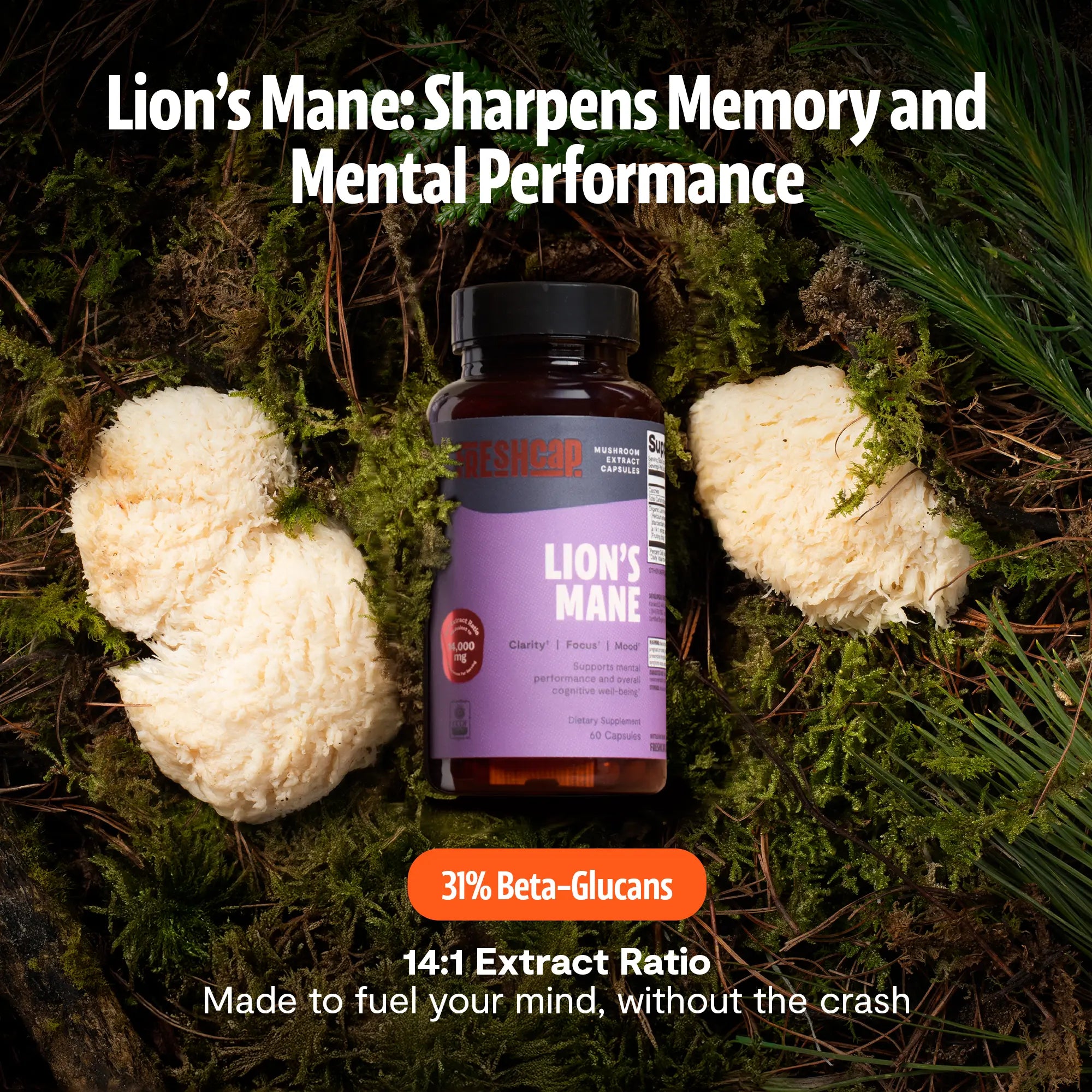 Organic Lion’s Mane Capsules FreshCap Mushrooms