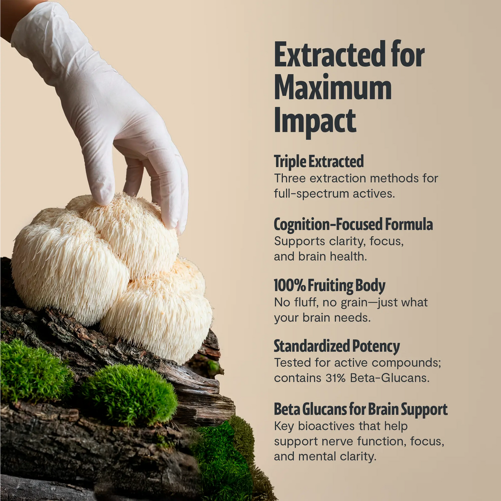 Organic Lion’s Mane Capsules FreshCap Mushrooms