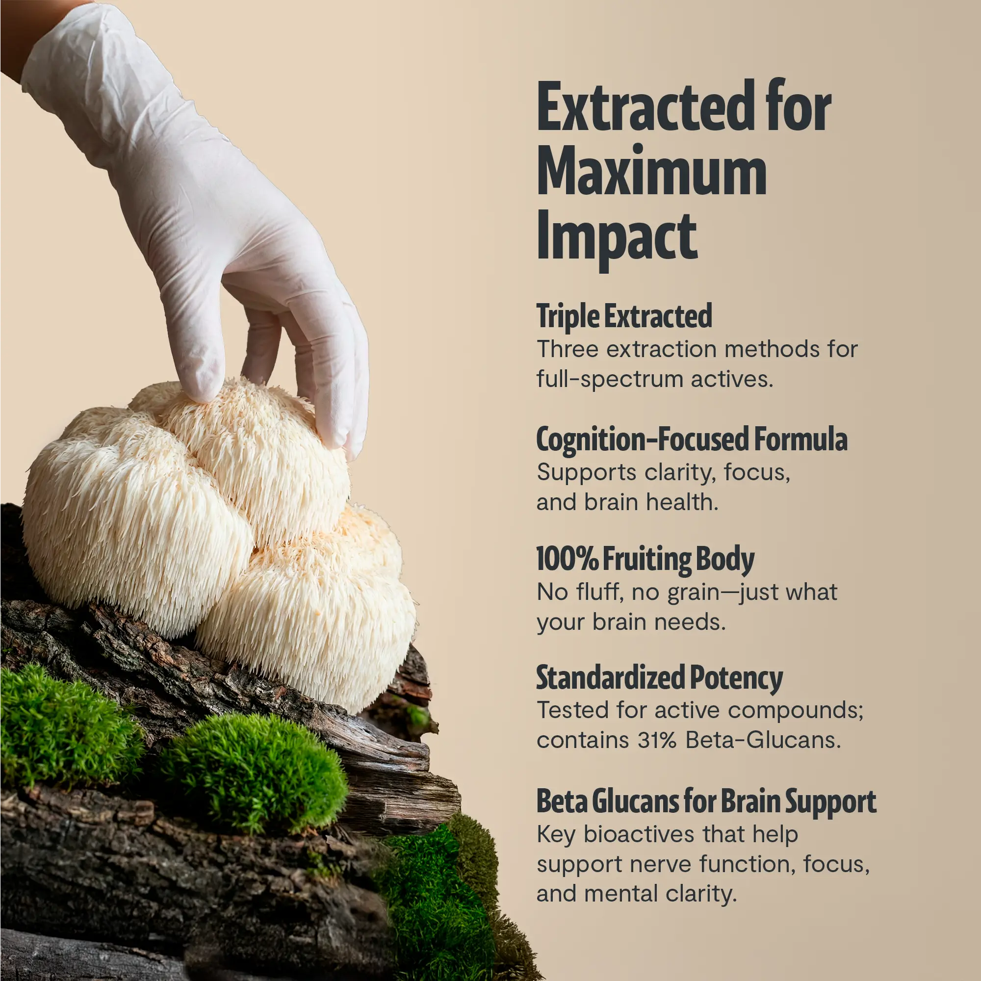 Organic Lion’s Mane Capsules FreshCap Mushrooms