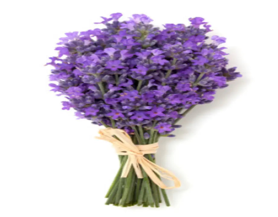 Exfoliating Organic Body Scrub - Lavender Fragrance Onyx Skin Care Line