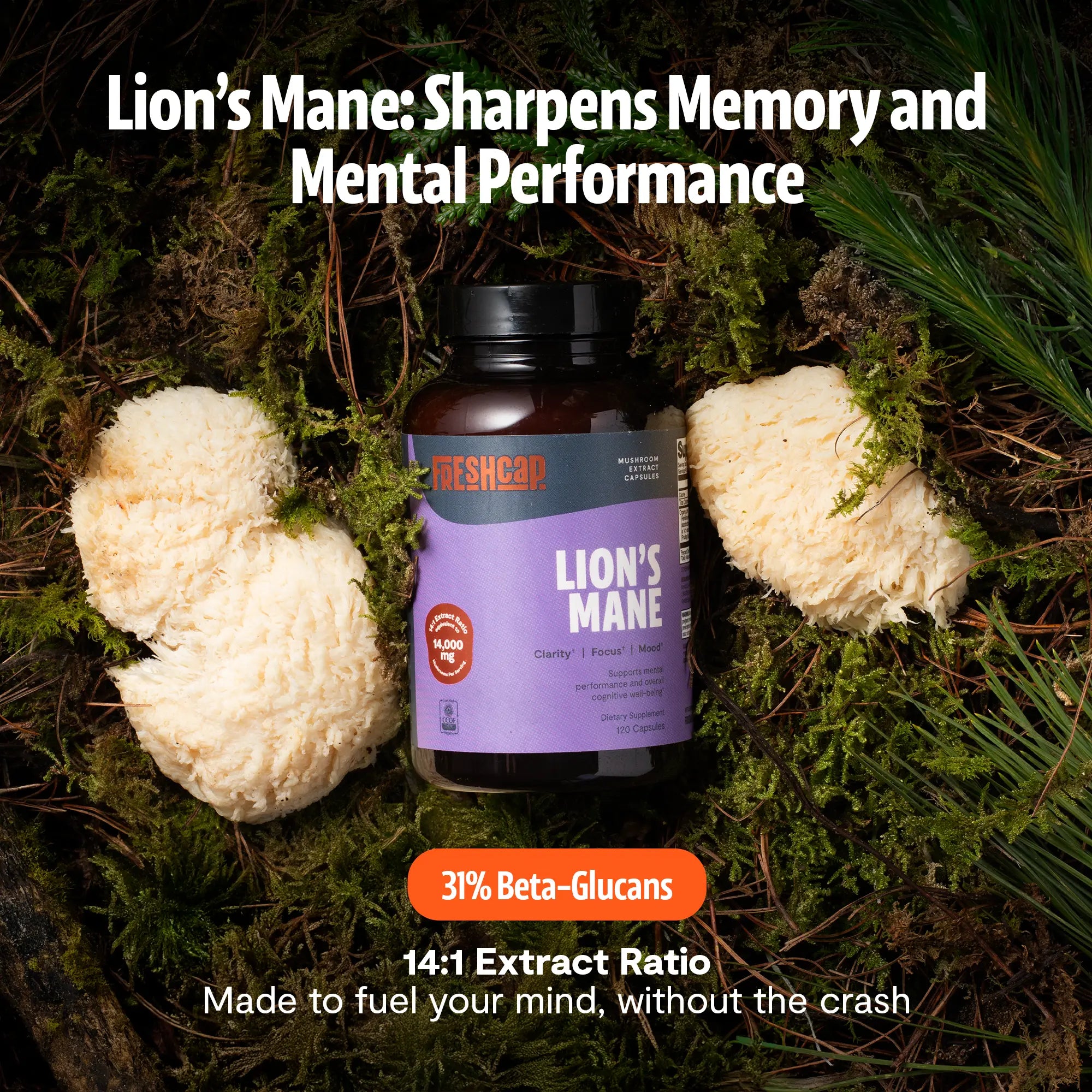 Organic Lion’s Mane Capsules FreshCap Mushrooms