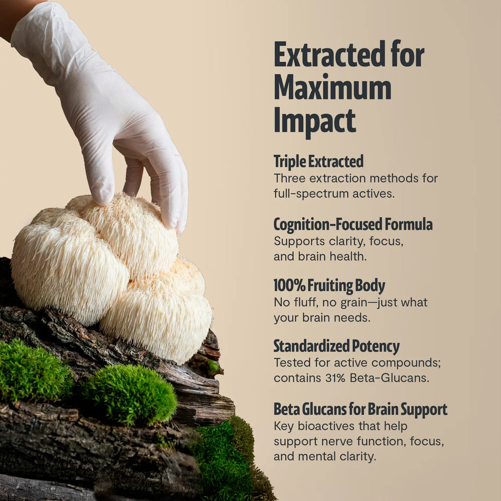 Organic Lion’s Mane Capsules FreshCap Mushrooms