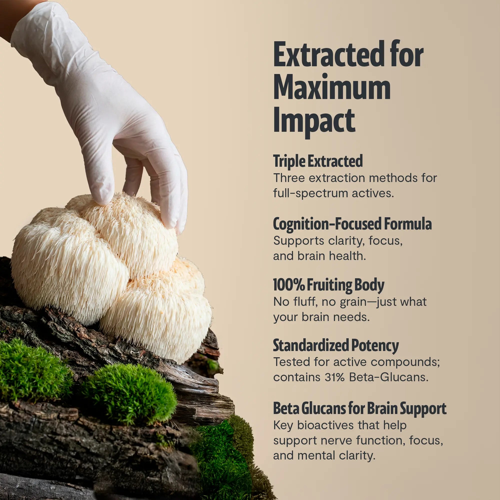 Organic Lion’s Mane Capsules FreshCap Mushrooms