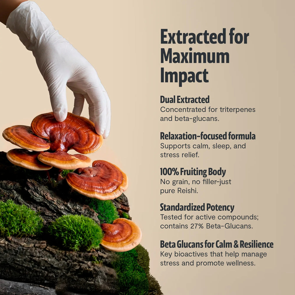 Organic Reishi Mushroom Capsules FreshCap Mushrooms