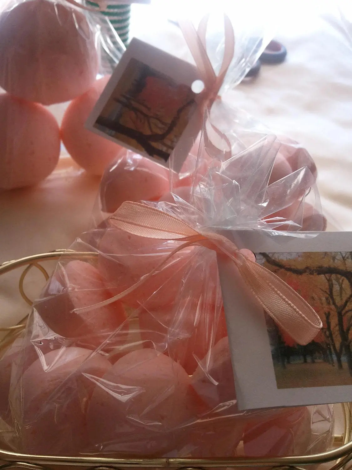 14 bath bombs 1 oz each (Autumn Magic) gift bag bath fizzies, a calming and soothing scent - great for dry skin Spa Pure