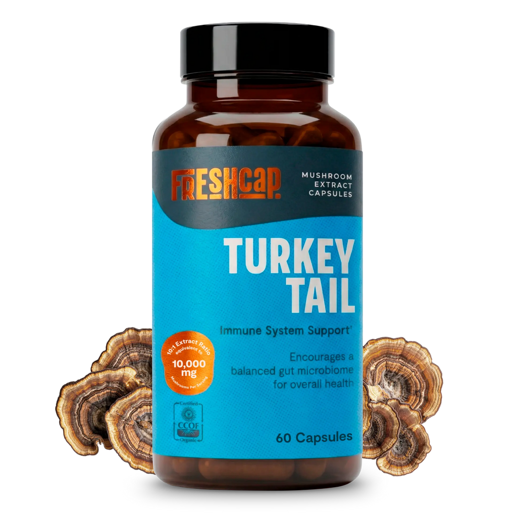 Organic Turkey Tail Mushroom Capsules FreshCap Mushrooms