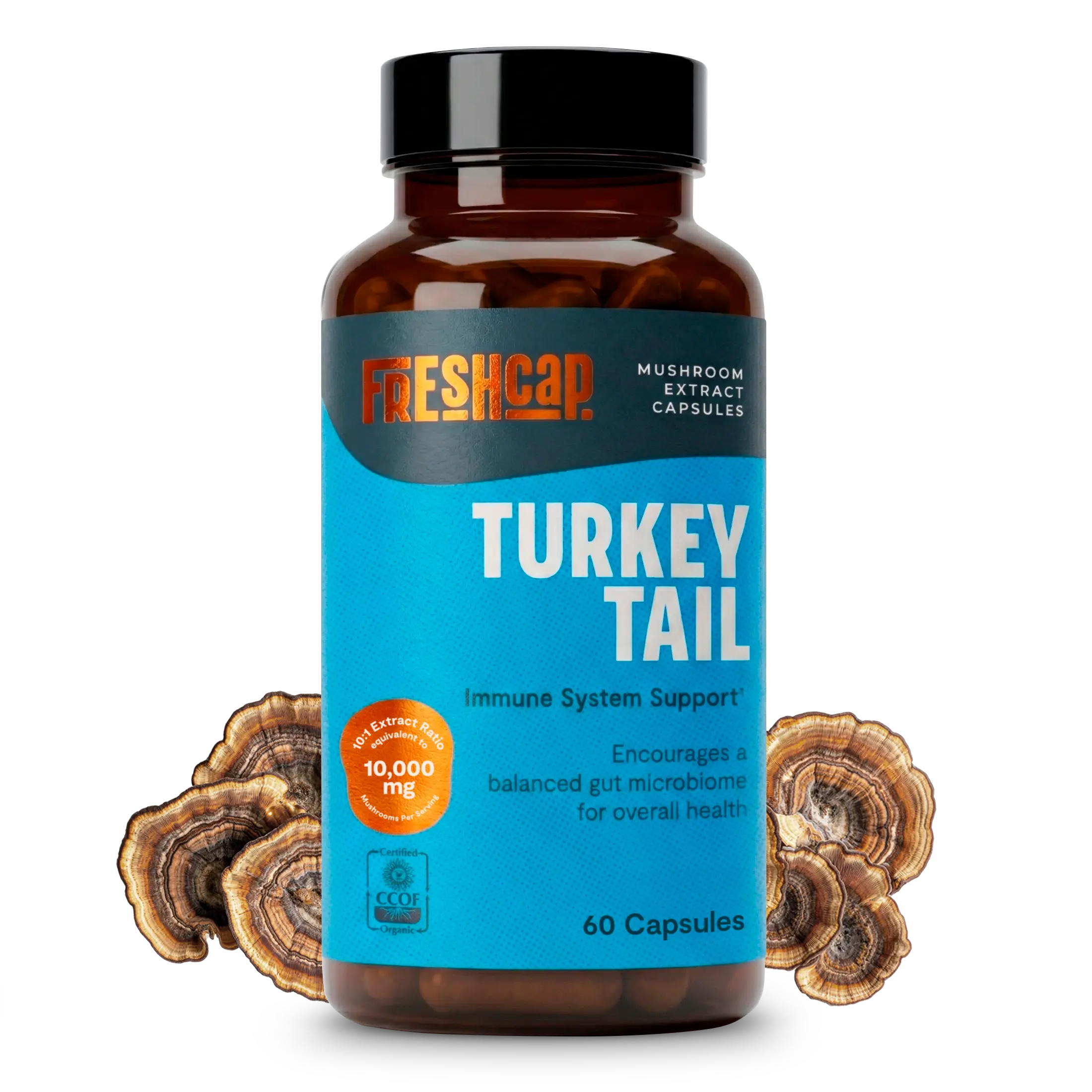 Organic Turkey Tail Mushroom Capsules FreshCap Mushrooms